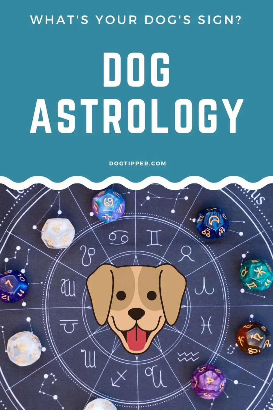 Decode your dog's unique personality traits based on their astrological sign