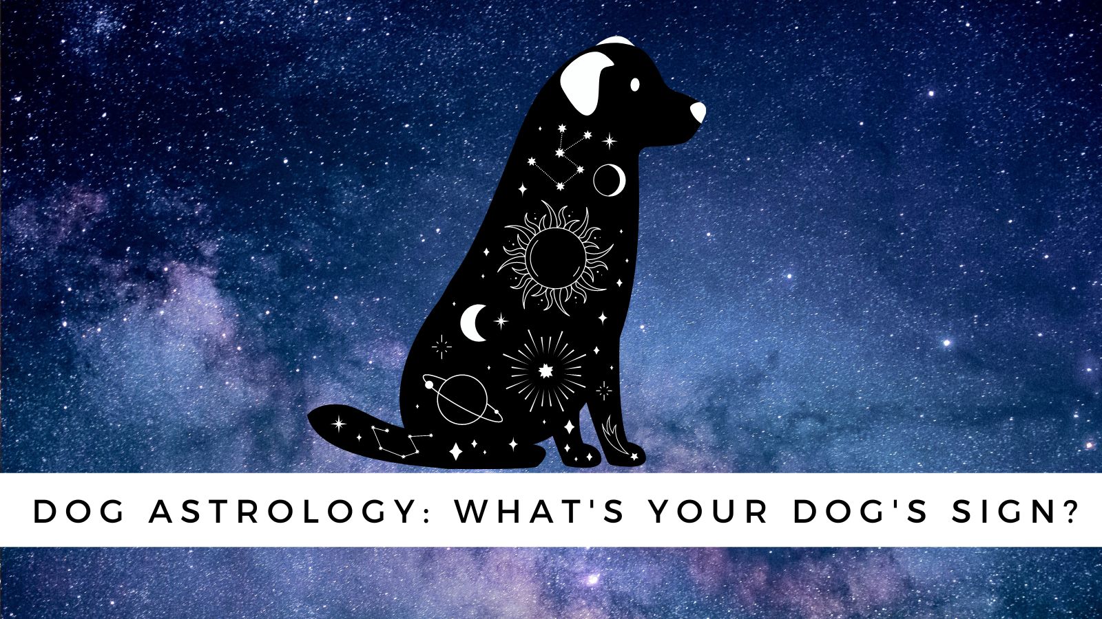 Dog Astrology: Decode your dog's personality by zodiac sign
