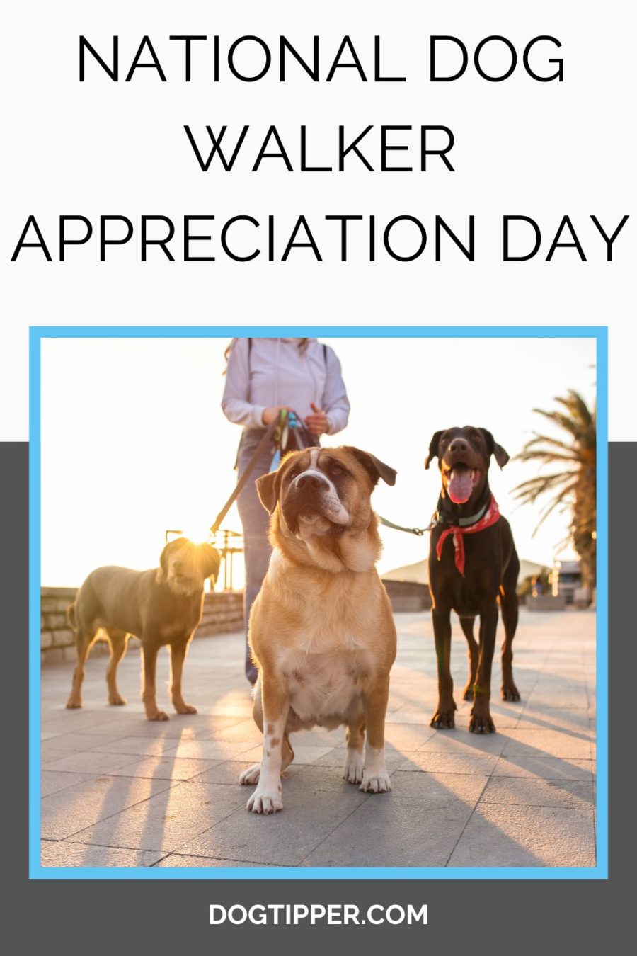 National Dog Walker Appreciation Day