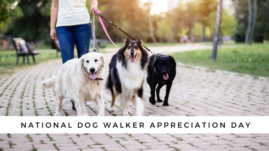 National Dog Walker Appreciation Day