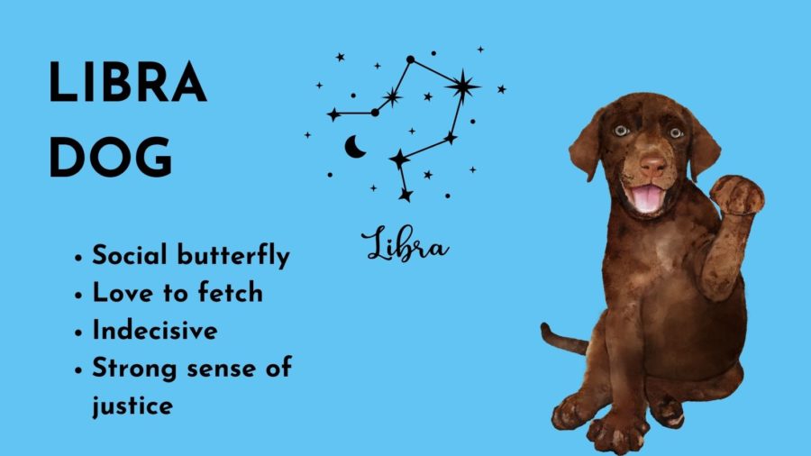 Libra Dog -- Zodiac sign of your dog