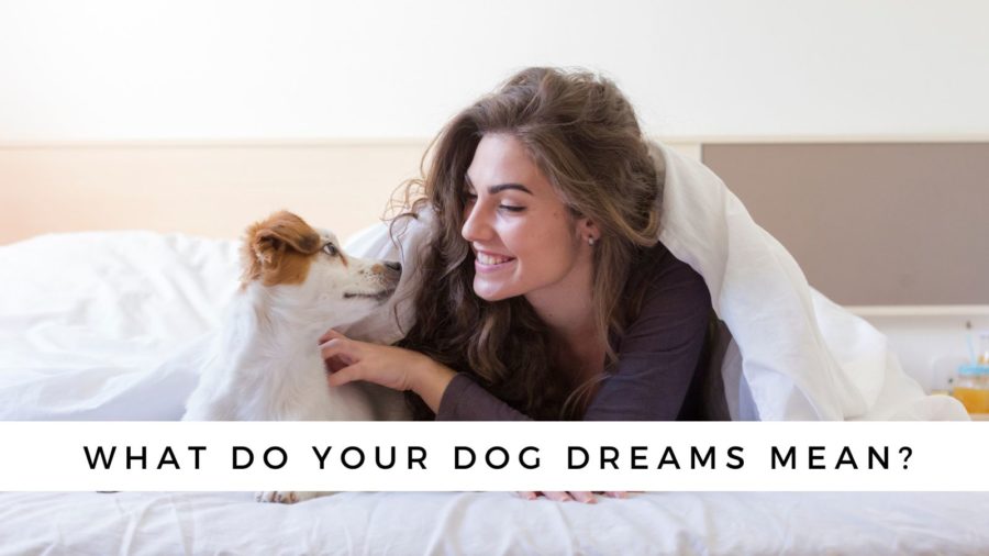 what does it mean when a dog bites your left hand in a dream