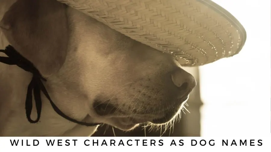Wild West characters as dog names