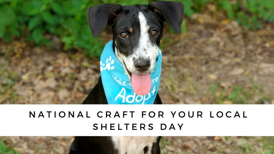 National Craft for Your Local Shelters Day--ideas for easy crafts to make for your shelter