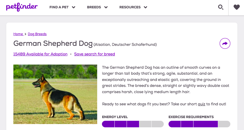 Petfinder German Shepherd Dog information