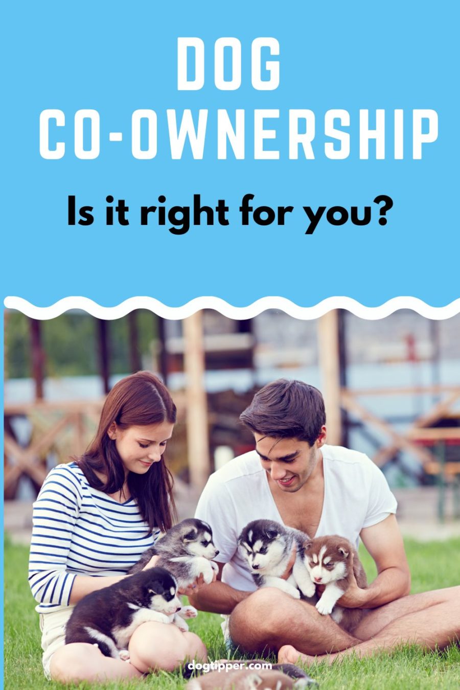Dog Co-Ownership: Is Co-Owning a Dog Right for You?