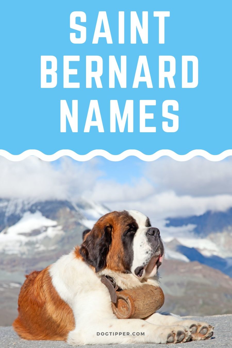 Saint Bernard Names