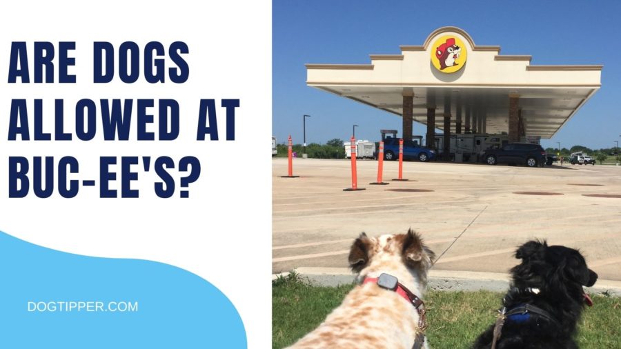 Is dogs allowed at Buc-ee's?