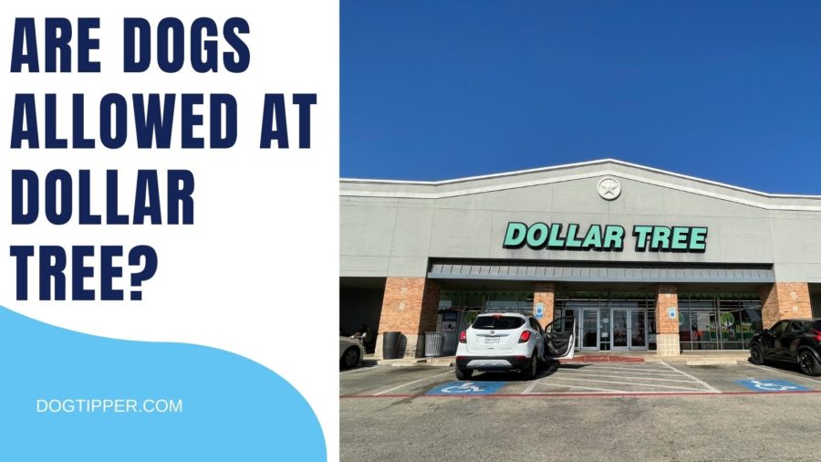 Are Dogs Allowed at Dollar Tree?