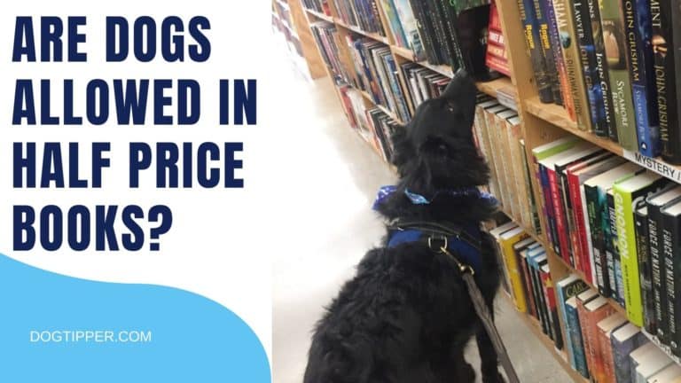 Are Dogs Allowed in Half Price Books?