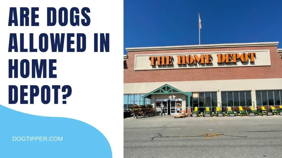 Does Home Depot Allow Dogs?