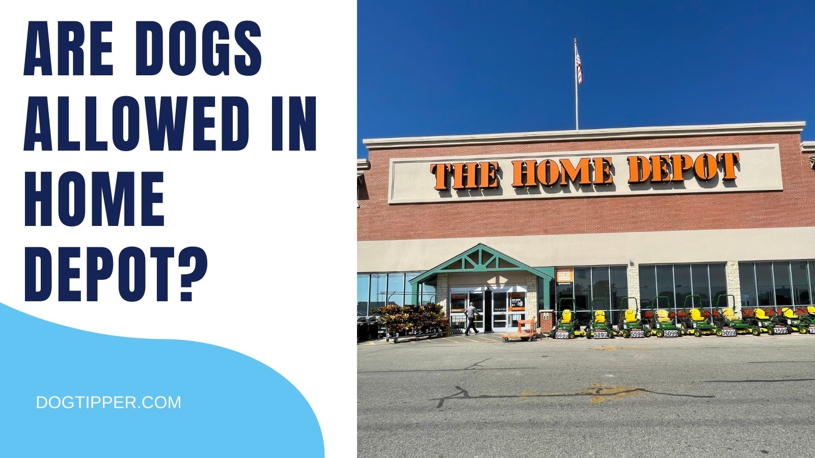 Does Home Depot Allow Dogs? - Dog Tipper