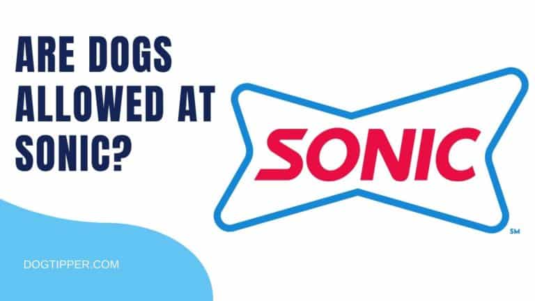 Are Dogs Allowed at SONIC?