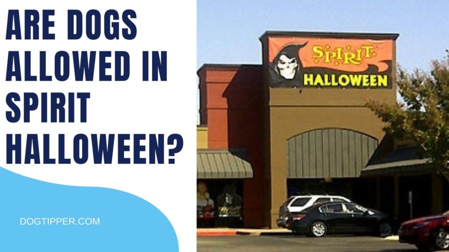 Is the Spirit Halloween dog friendly?