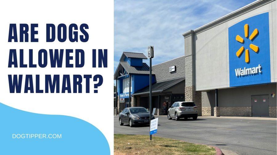 Can you bring your dog to Walmart?