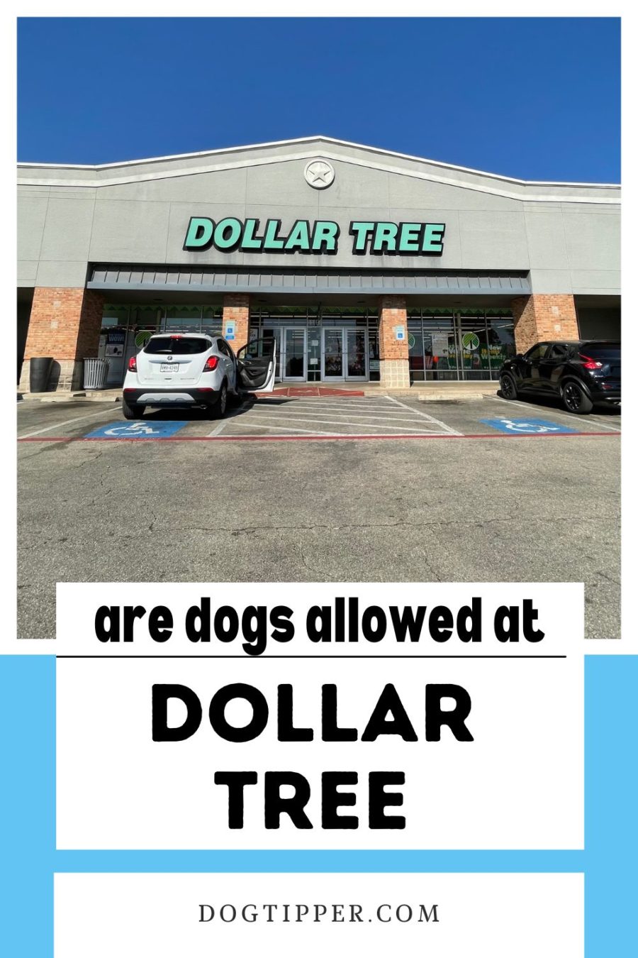 Does Dollar Tree allow dogs?
