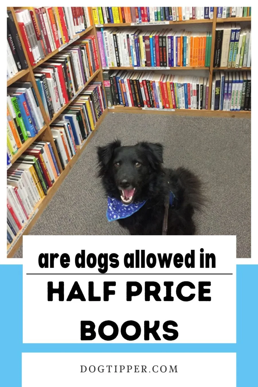 Can dogs go to Half Price Books?