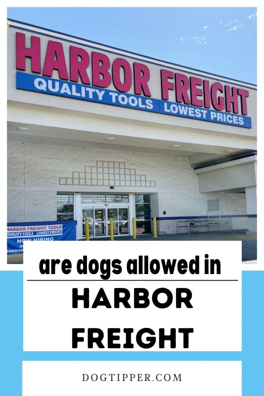 Does Harbor Freight allow dogs and service dogs in the stores?