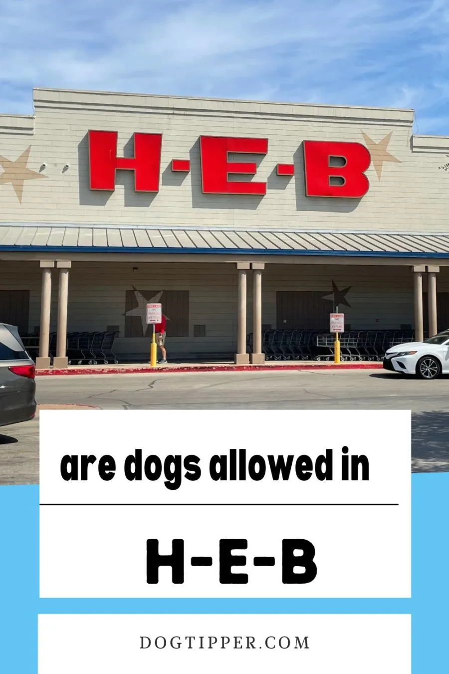 Are dogs allowed in HEB stores?