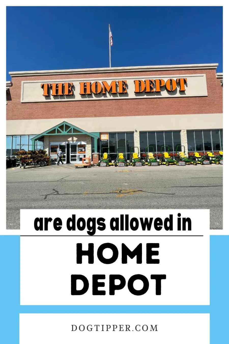 Can I Bring My Dog in Home Depot?