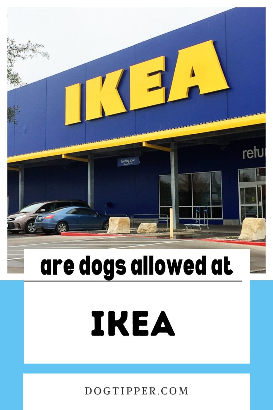 Can I bring my dog ​​to IKEA?