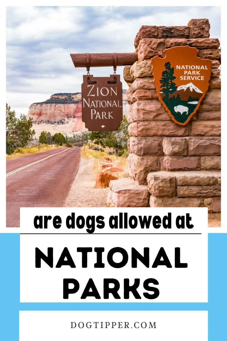 Can I bring my dog to a national park?