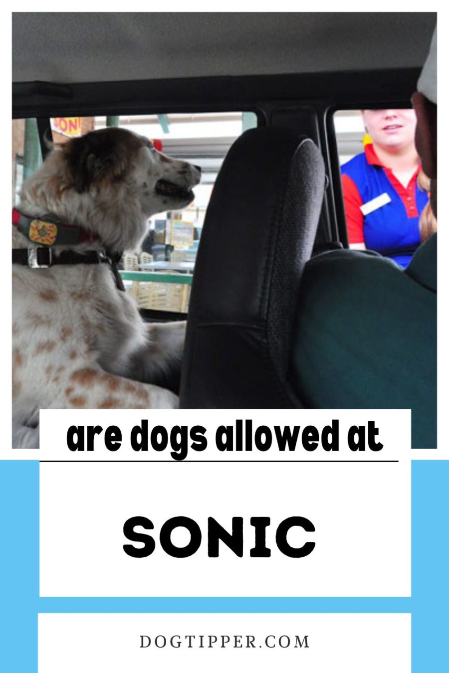Can I bring my dog to SONIC drive-in?
