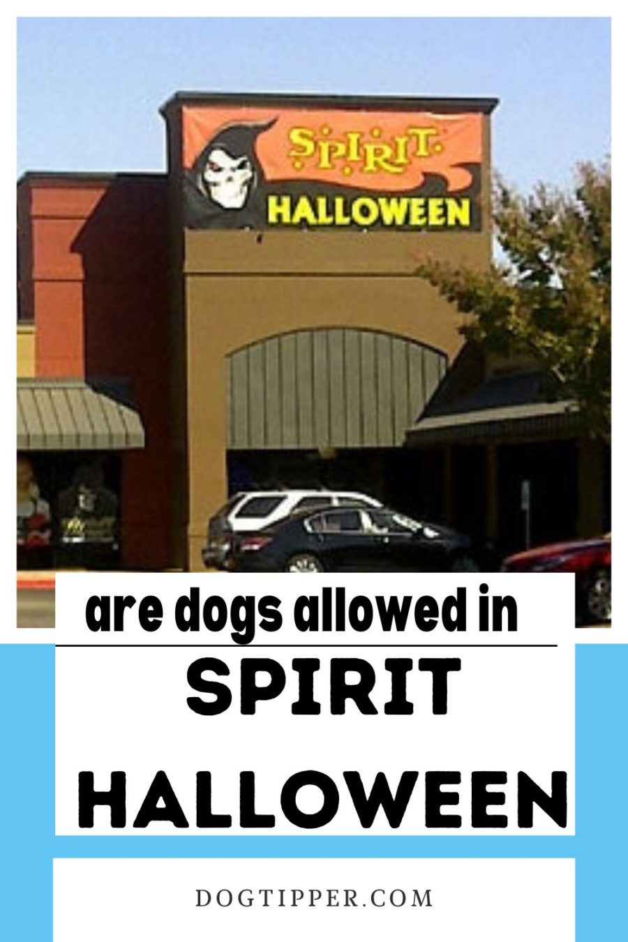 Can I bring my dog ​​to the Spirit Halloween store?