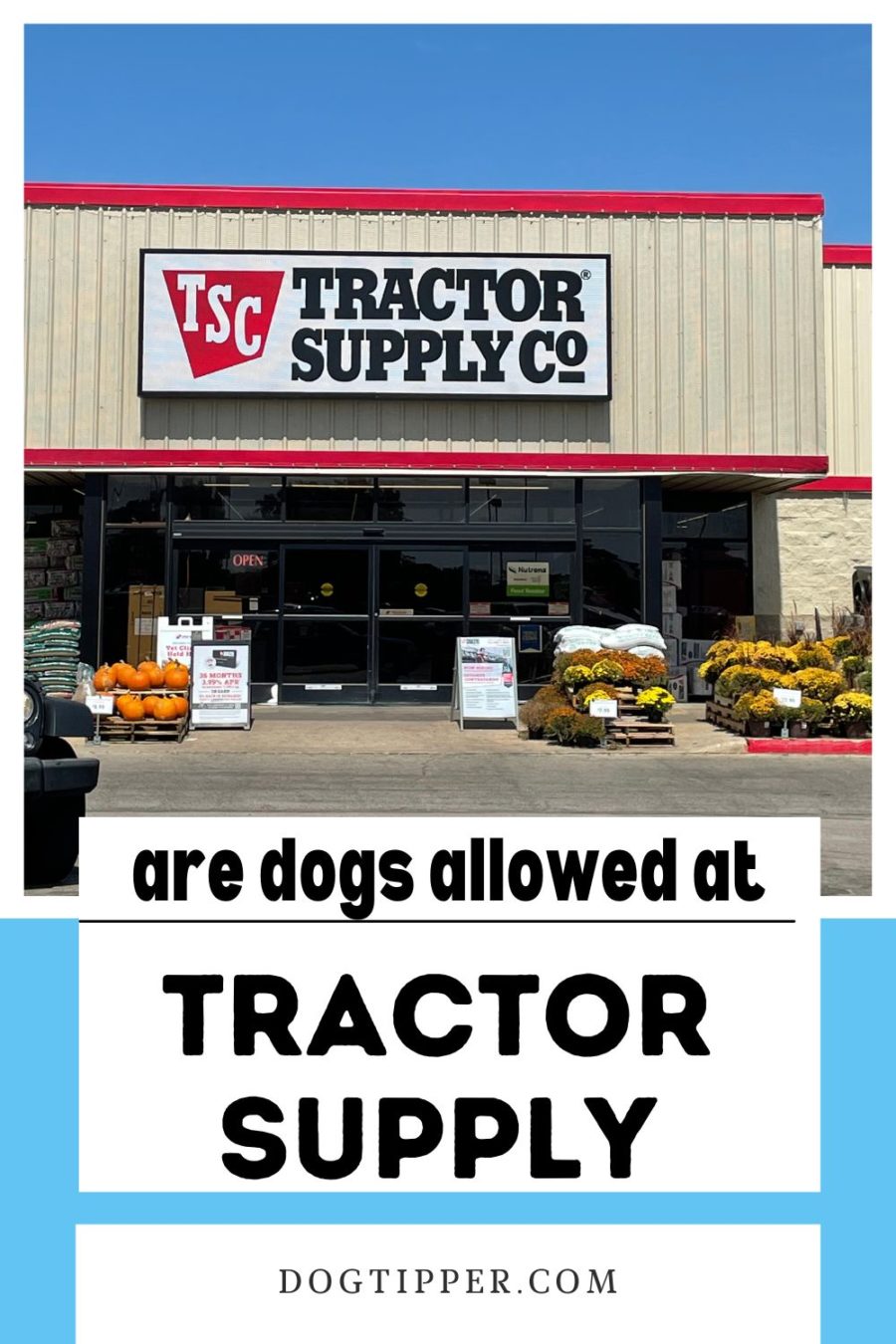 Is Tractor Supply Dog Friendly?