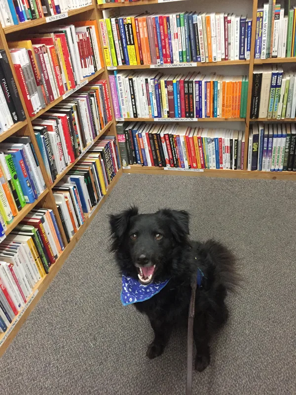 Can I bring my dog to Half Price Books? Yes; dogs need to be leashed. Dogs love the quiet atmosphere of the smaller stores.