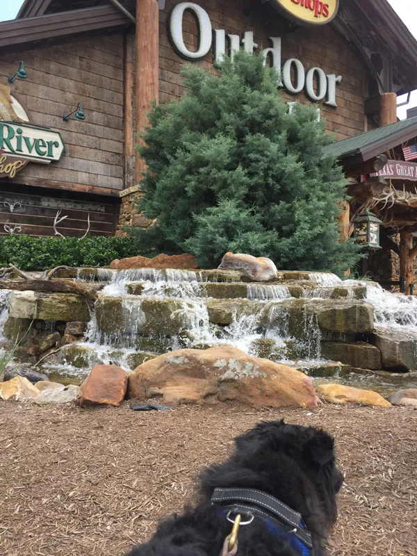 exterior of dog at Bass Pro Shops