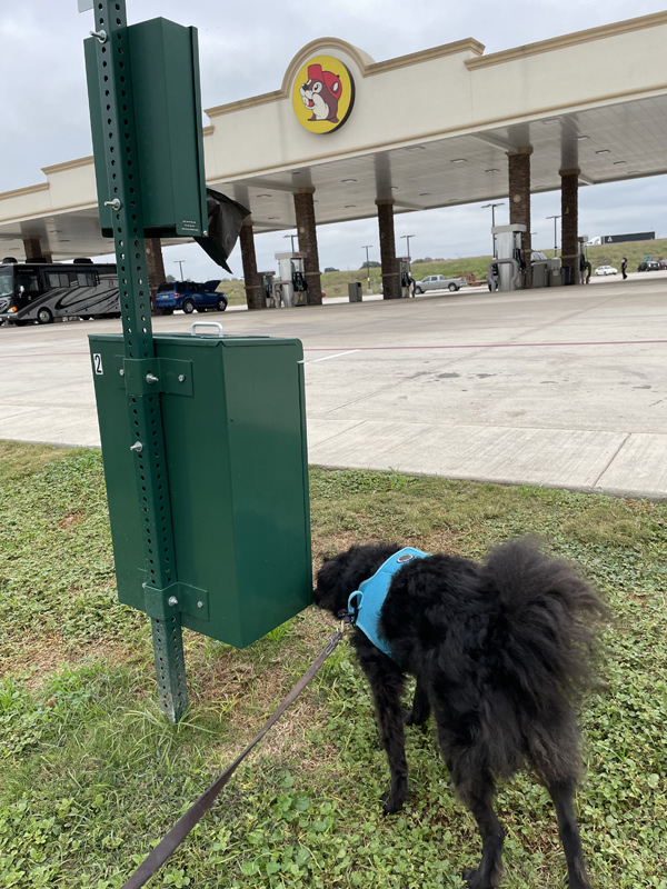 dog relief area at Buc-ee's in Luling, Texas