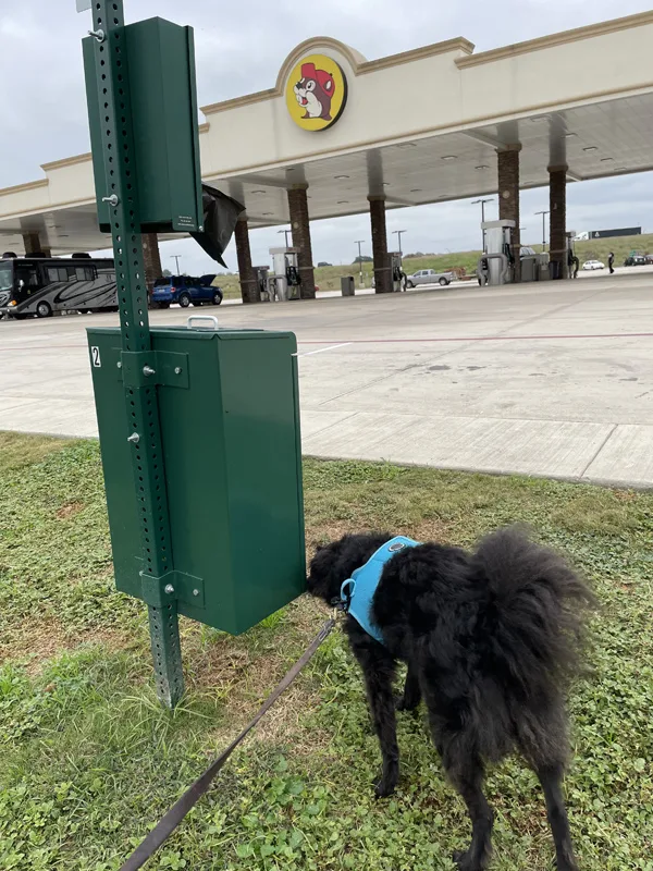 dog relief area at Buc-ee's in Luling, Texas