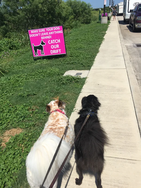 two dogs at Buc-ee's dog relief area