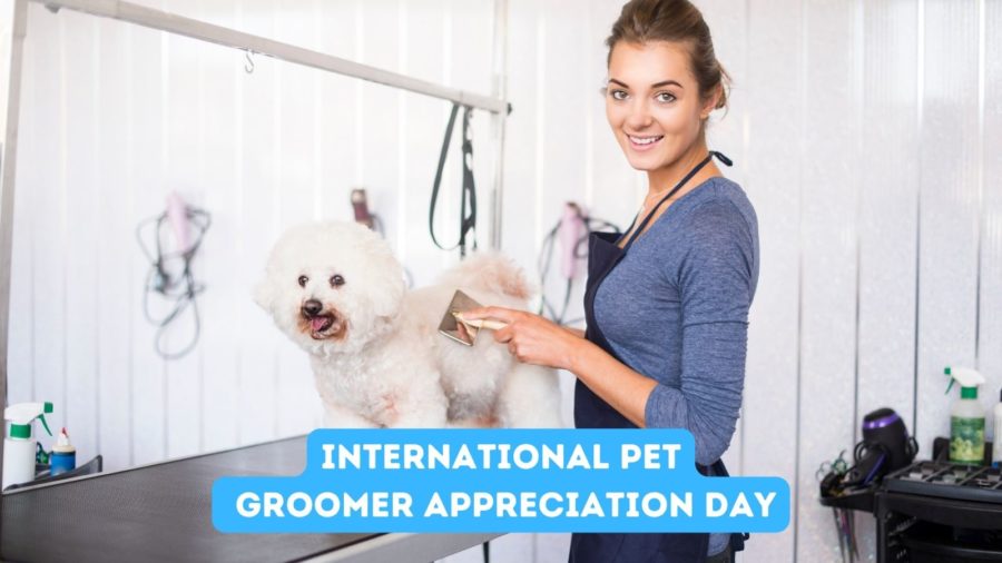 November 1 is International Pet Groomer Appreciation Day.