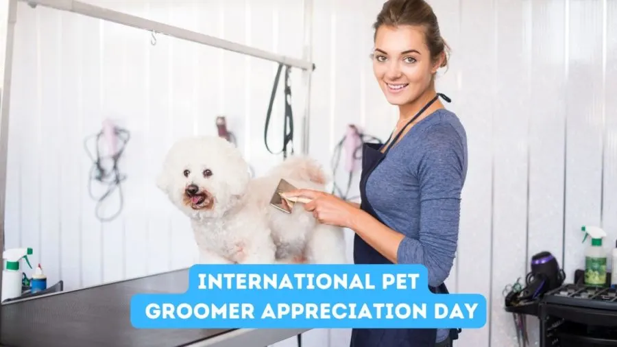 November 1 is International Pet Groomer Appreciation Day.