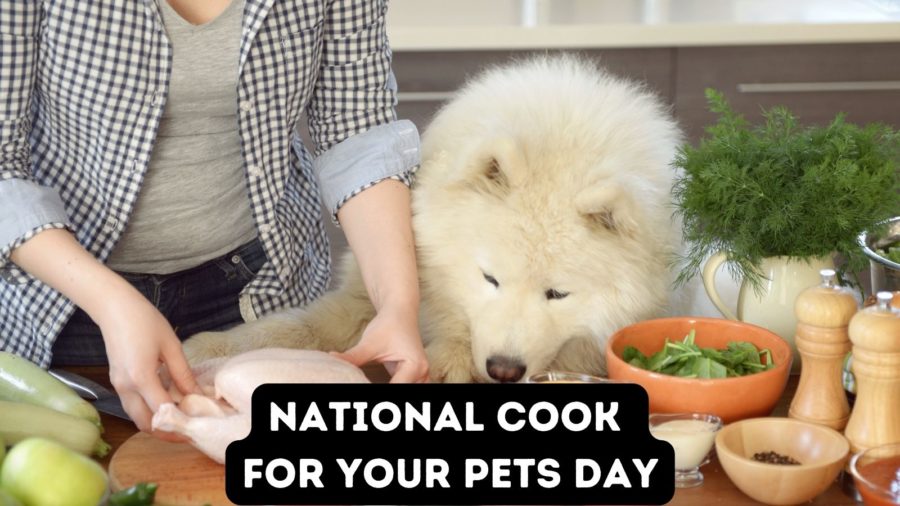 National Cook for Your Pets Day - November 1