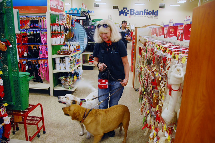 dog shopping at PetSmart