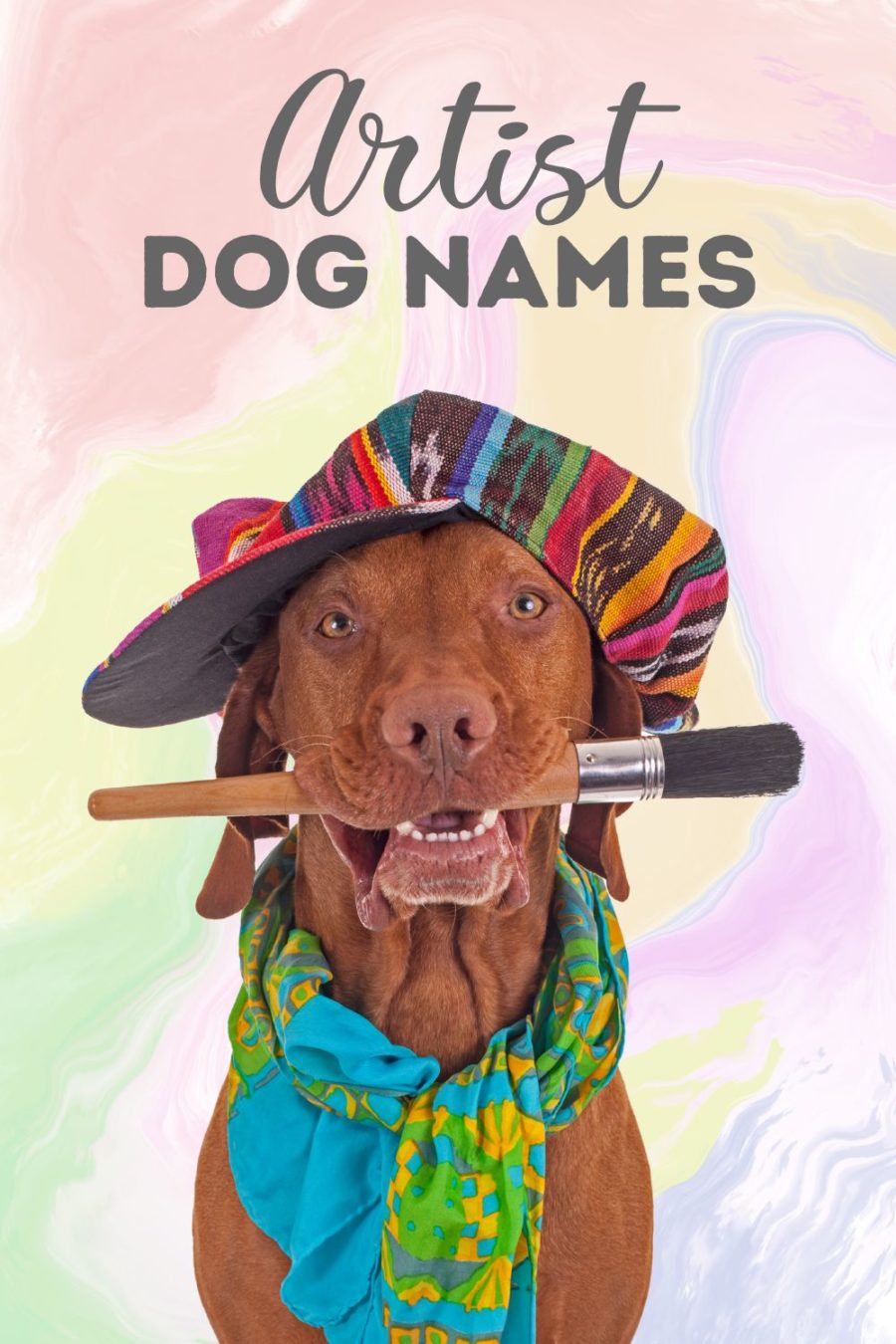 Nombres de artistas para perros