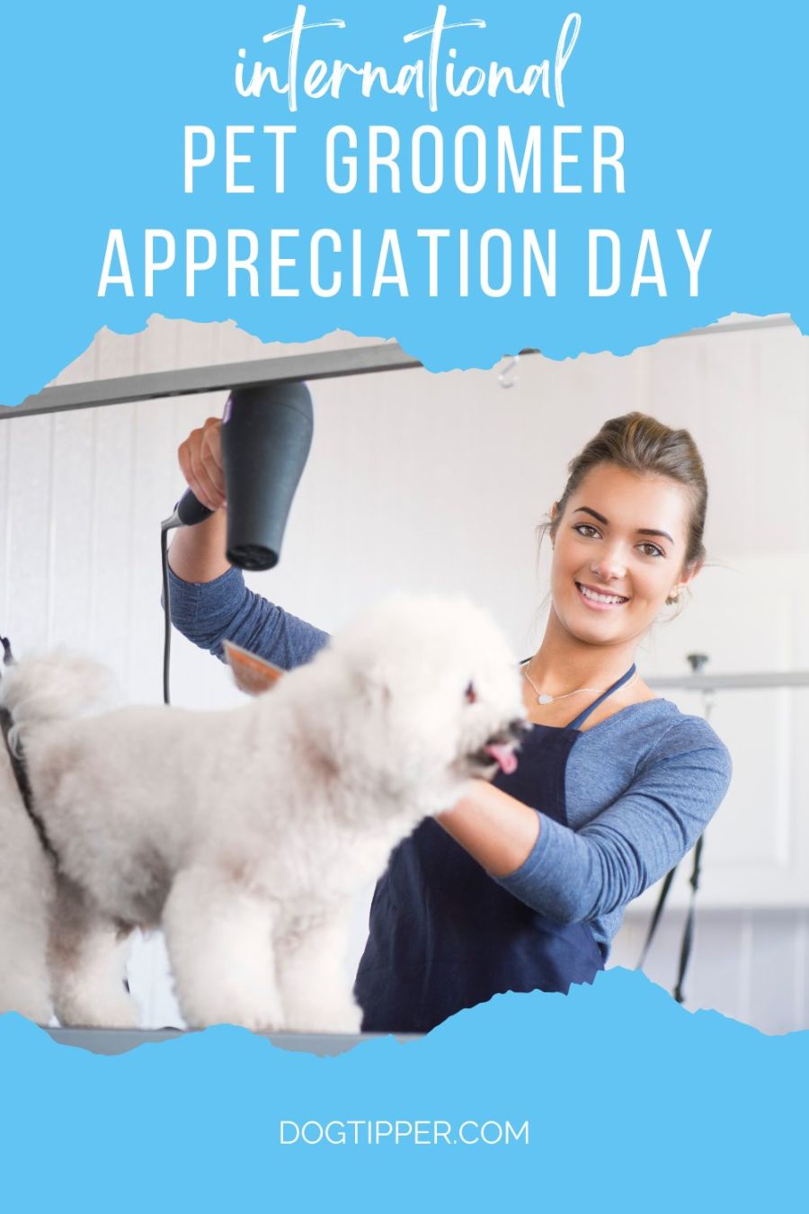 Nov. 1 is International Pet Groomer Appreciation Day