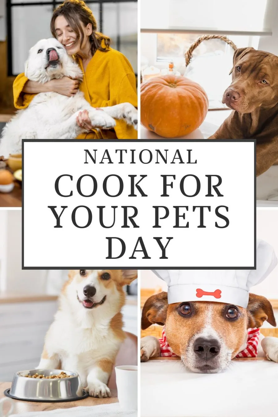 National Cook for Your Pets Day