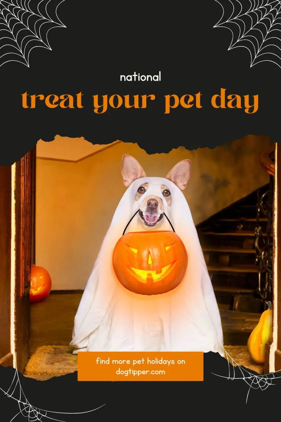 National Treat Your Pet Day - October 30