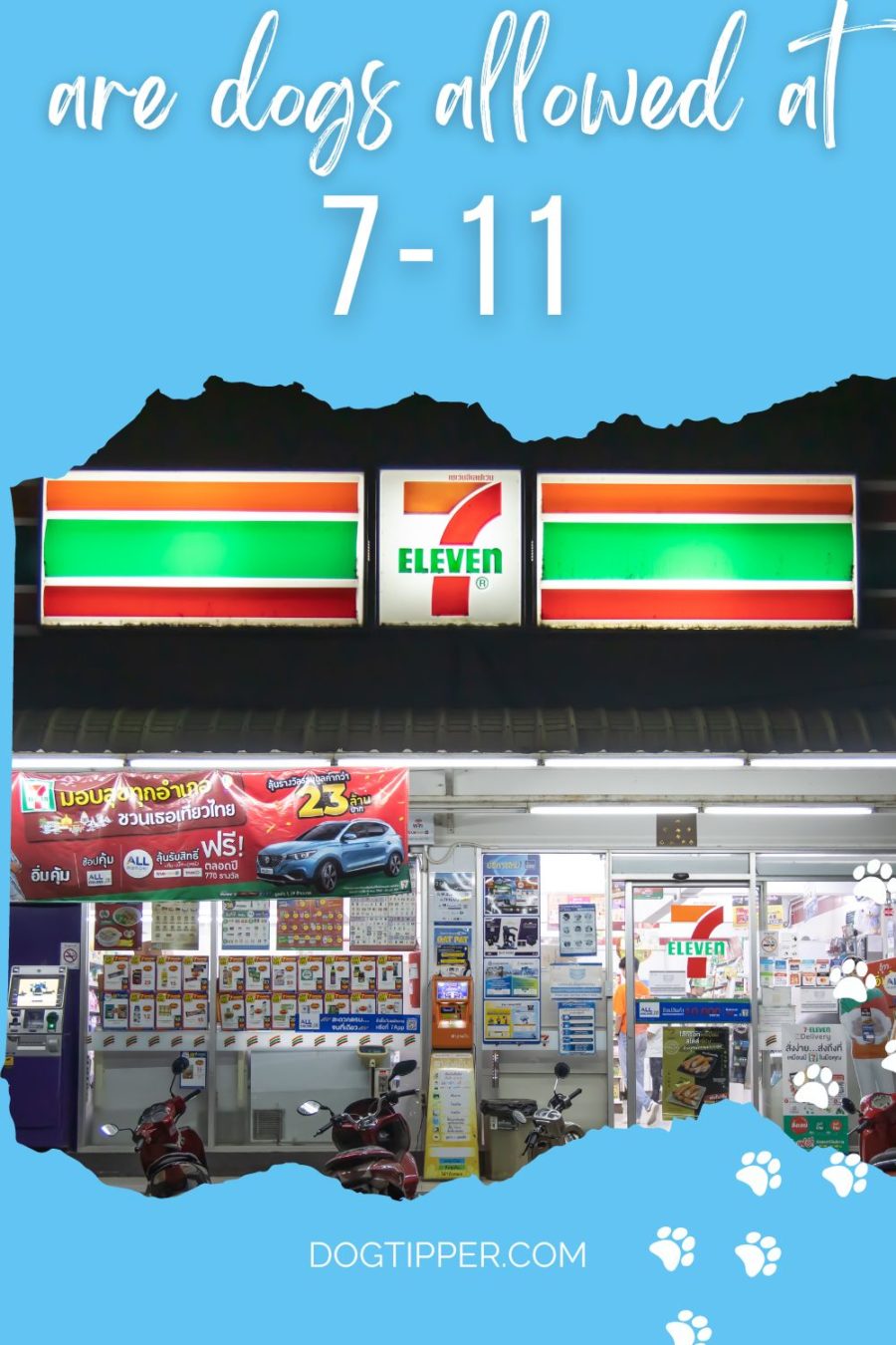 Are Dogs Allowed in 7-11?