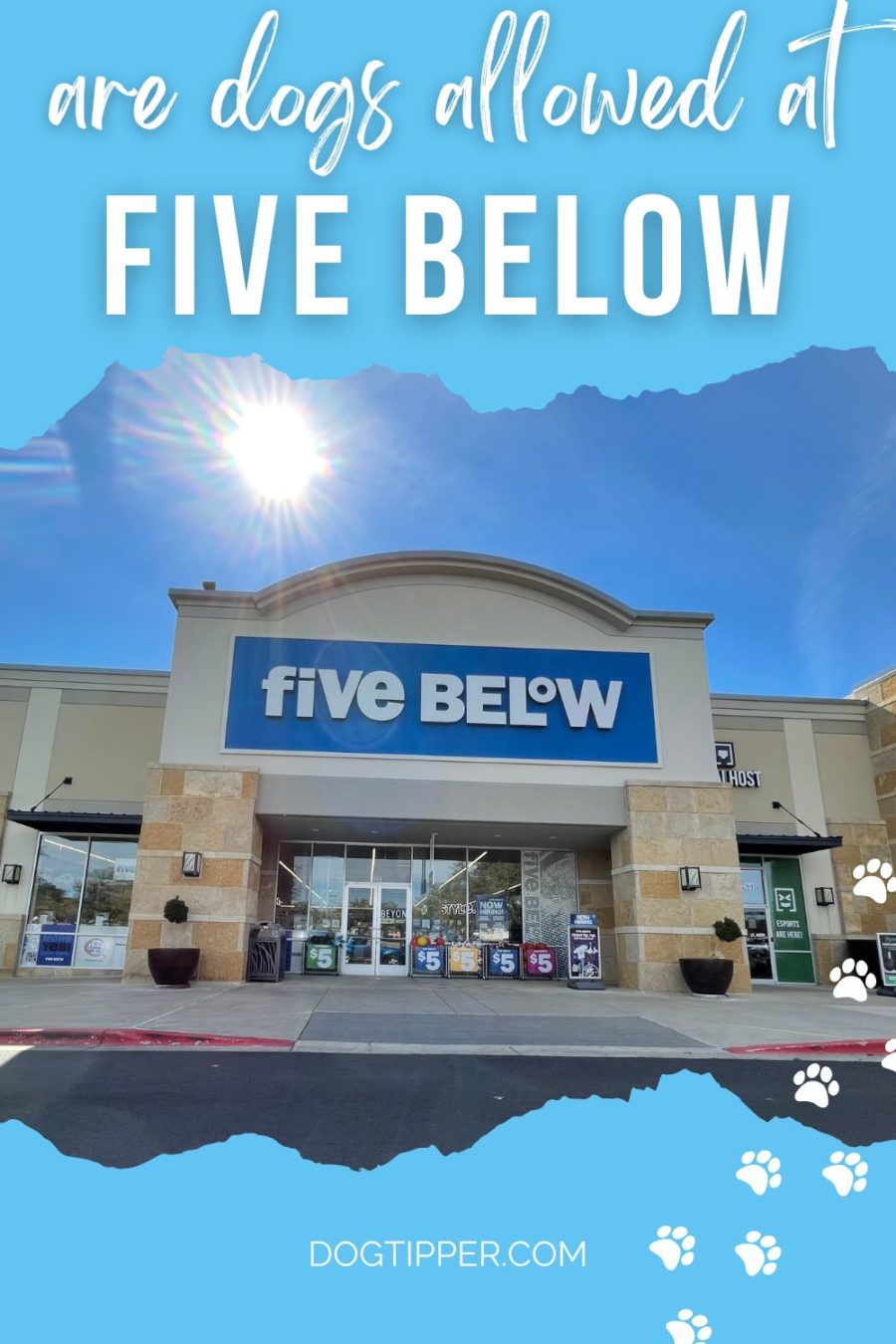 Are Dogs Allowed in Five Below?