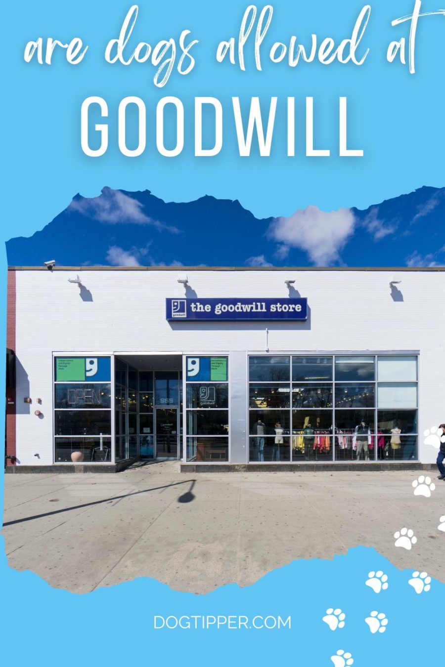 Are Dogs Allowed in Goodwill?