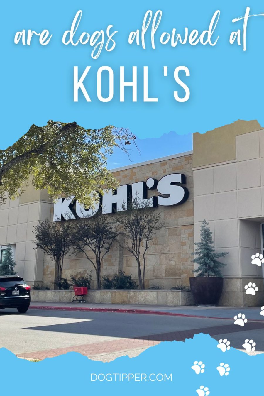 Is Kohl's dog friendly?