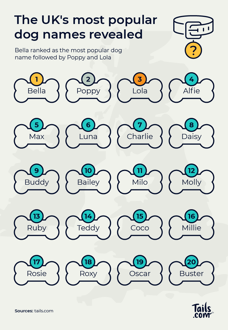 Most popular dog names in the UK