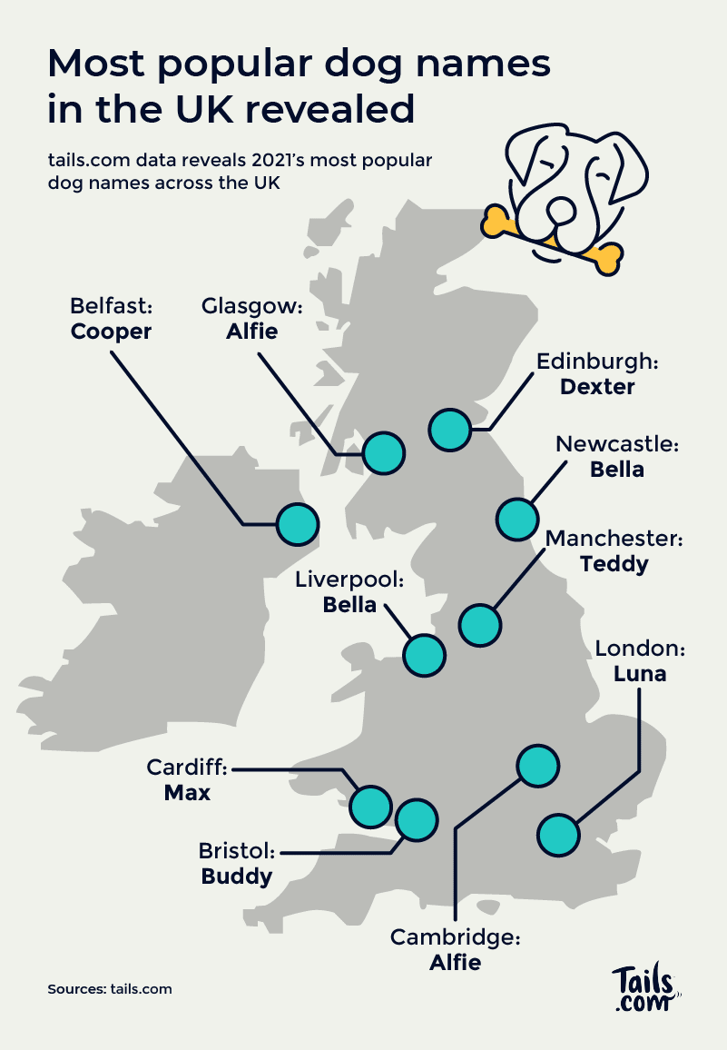 most popular names for dogs across the UK