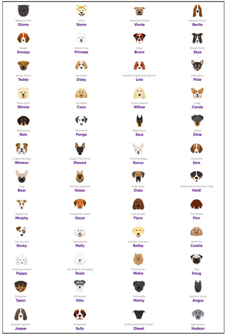most popular dog names by breed