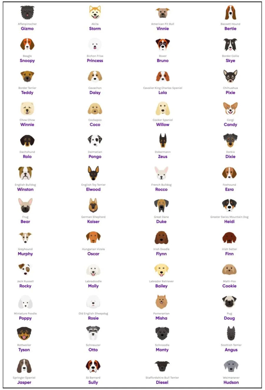 most popular dog names by breed